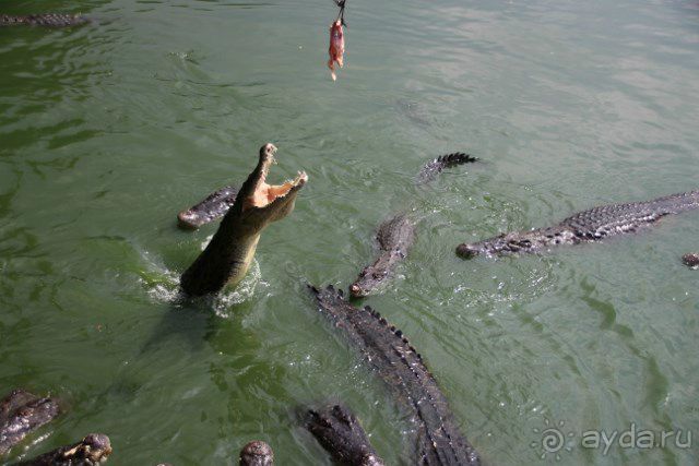 Тайланд, Патайя ноябрь 2012