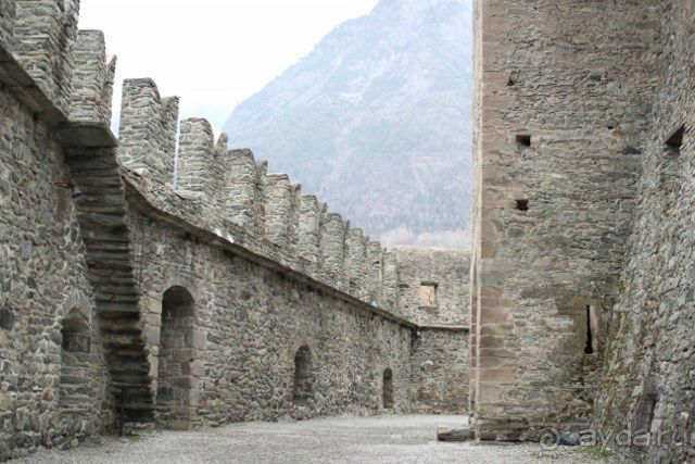 фото Червинии