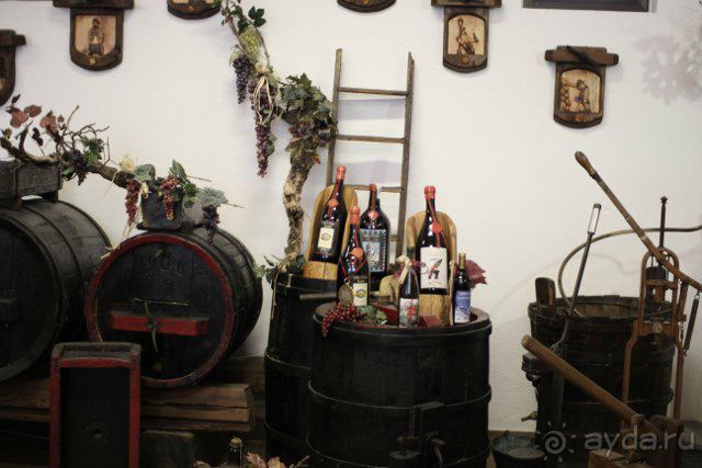 Италия (Червиния) начало марта 2013.