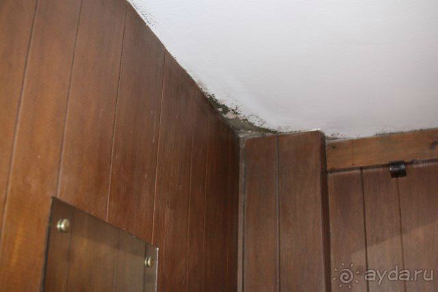 Италия (Червиния) начало марта 2013.