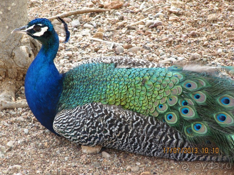 Хорошая, крепкая тройка.