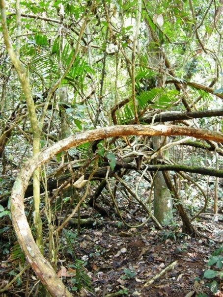 Очаровательный Вьетнам