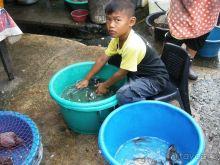 Очаровательный Вьетнам