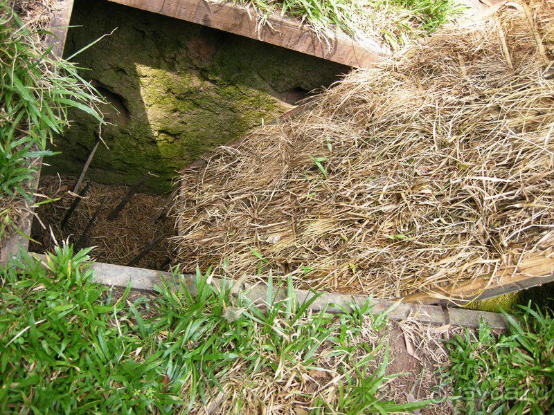 Очаровательный Вьетнам