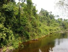 Очаровательный Вьетнам