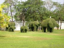 Очаровательный Вьетнам