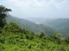 Очаровательный Вьетнам