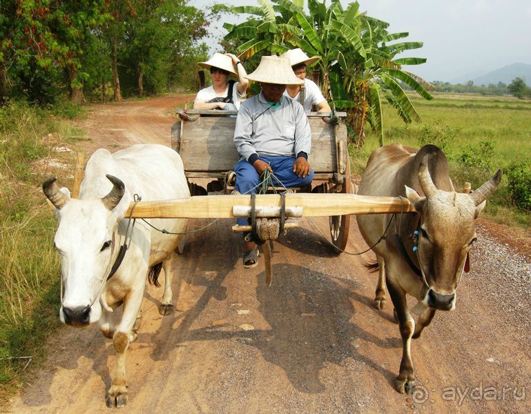 Очаровательный Вьетнам