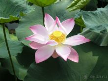 Очаровательный Вьетнам