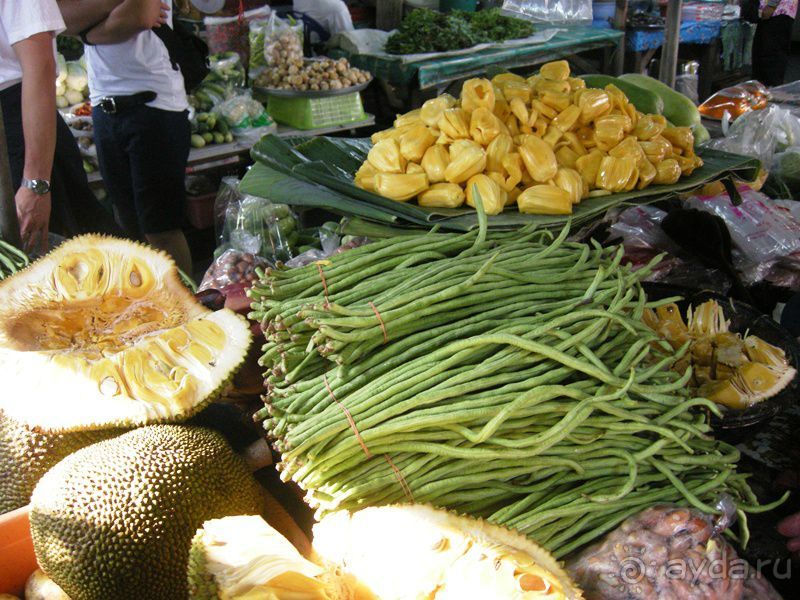 Очаровательный Вьетнам