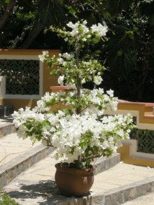 Очаровательный Вьетнам