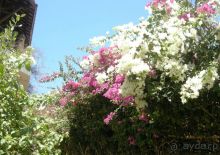 Очаровательный Вьетнам