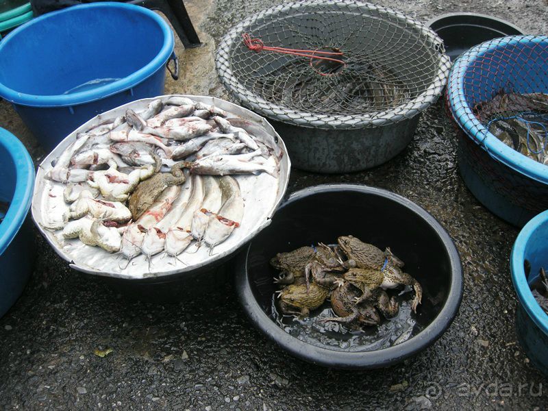 Очаровательный Вьетнам