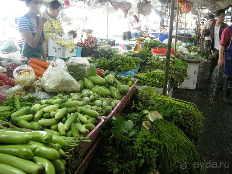 Очаровательный Вьетнам