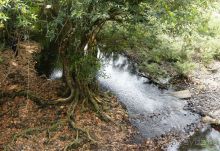 Очаровательный Вьетнам