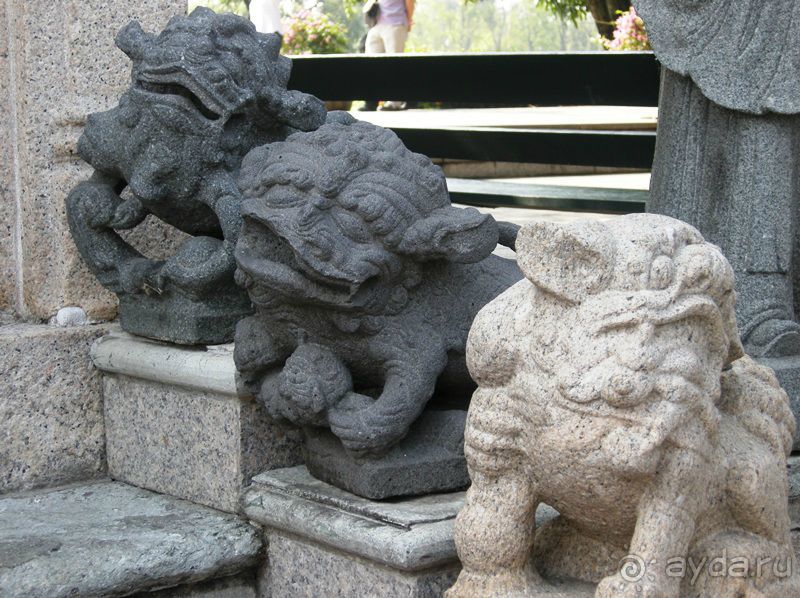 Очаровательный Вьетнам