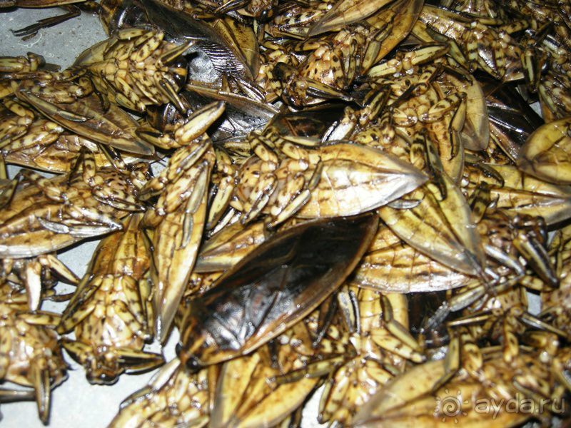 Очаровательный Вьетнам