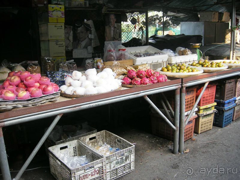 Очаровательный Вьетнам