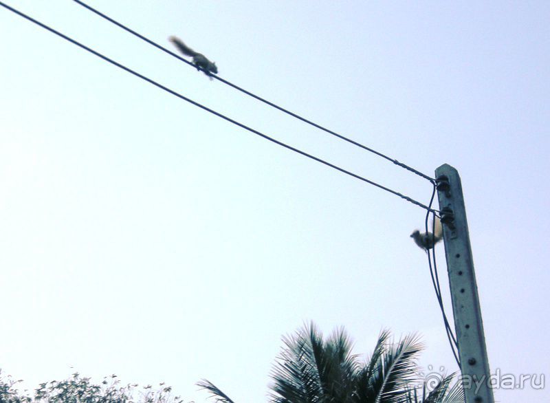 Очаровательный Вьетнам