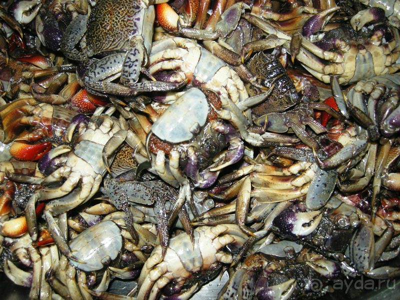 Очаровательный Вьетнам