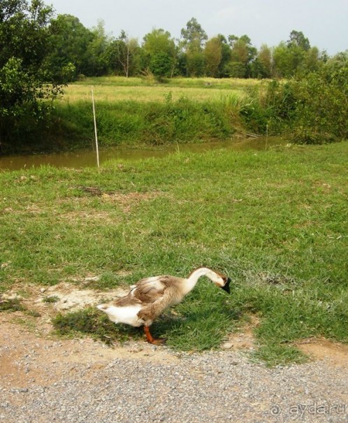 Очаровательный Вьетнам