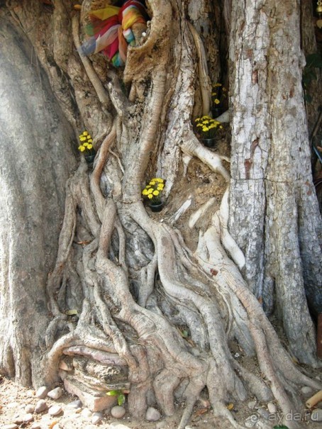 Очаровательный Вьетнам