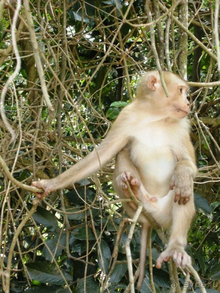 Очаровательный Вьетнам