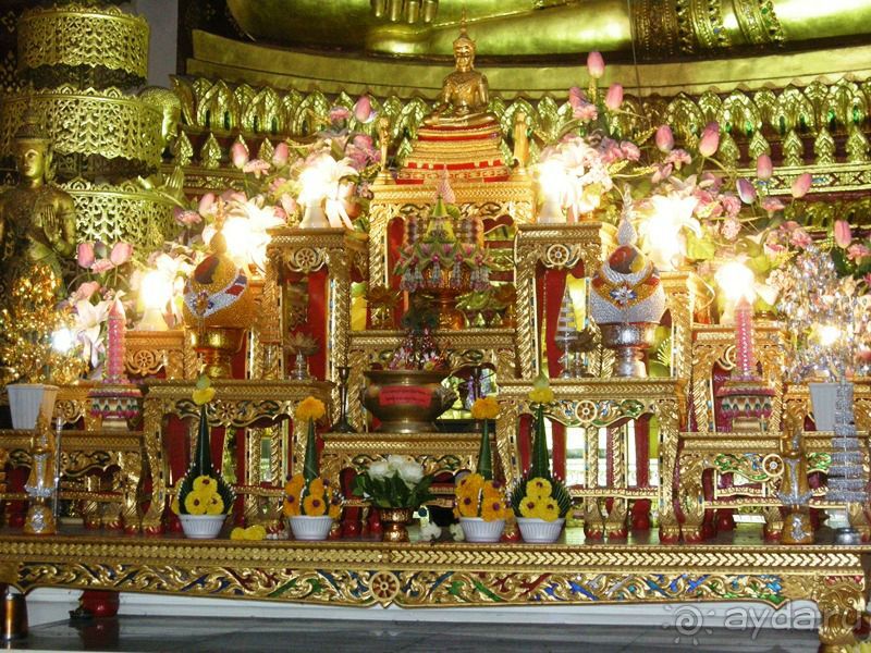 Очаровательный Вьетнам