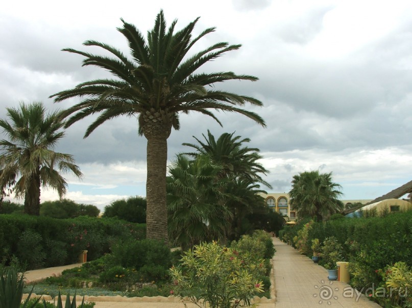 Возможно, в сезон все не так плохо. Нам не повезло