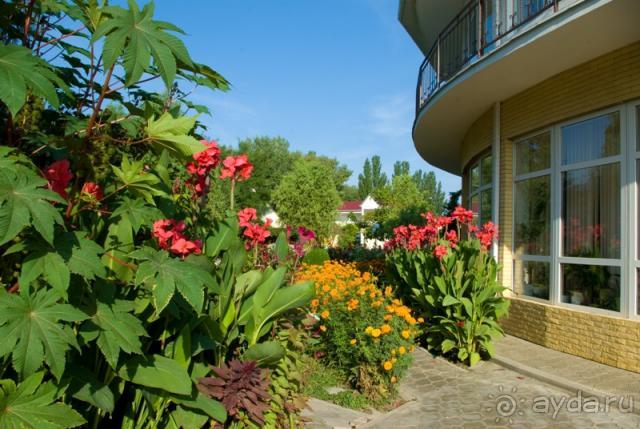 фото Радуга