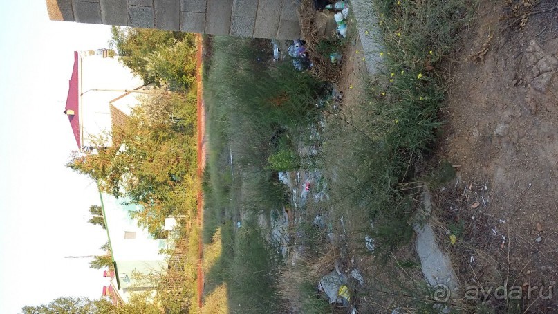 фото Прибой