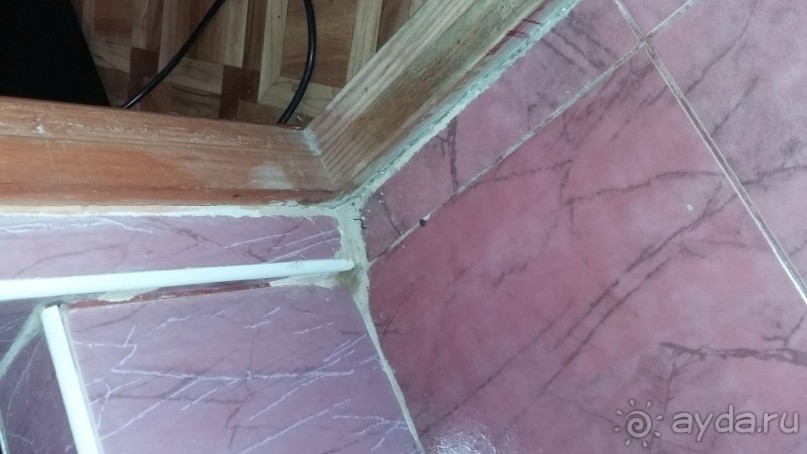 фото Прибой