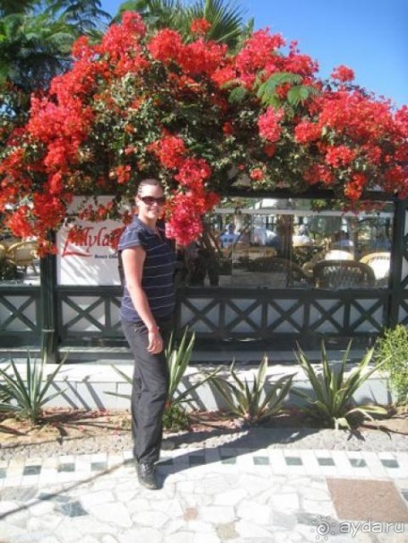 Приятненький рай)