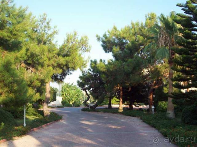 фото Рассвет