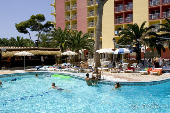 фото Zillertalerhof