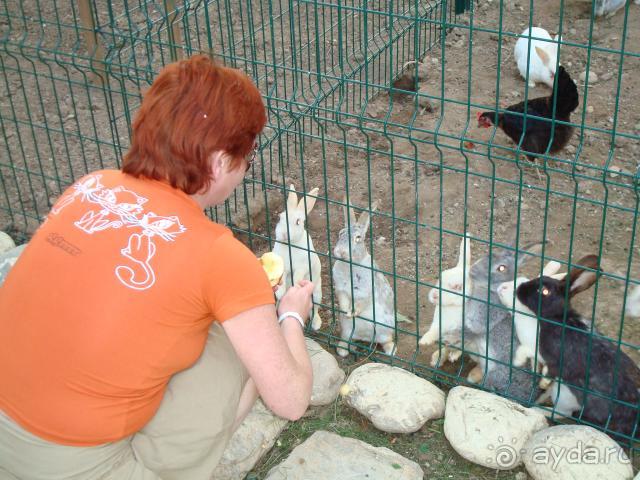 фото Crystal Flora Beach Resort