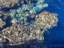 ...море далеко...