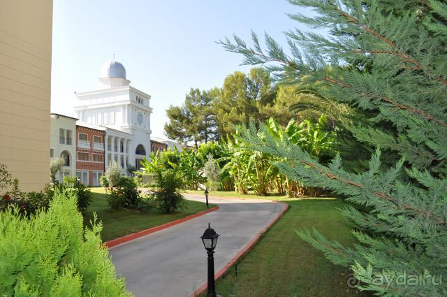 фото Ростовчанка