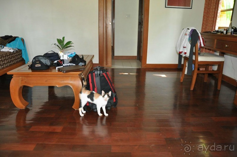 фото Princess Beach Hotel