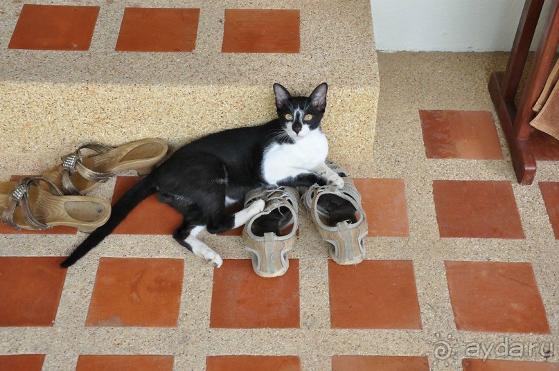 фото Princess Beach Hotel