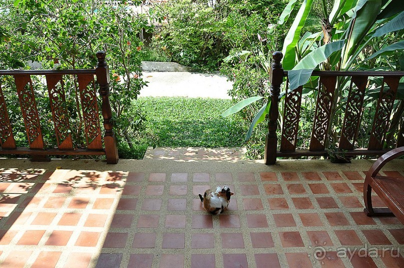 фото Princess Beach Hotel