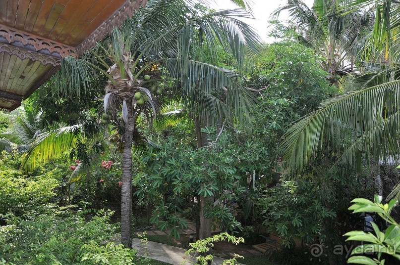 фото Princess Beach Hotel