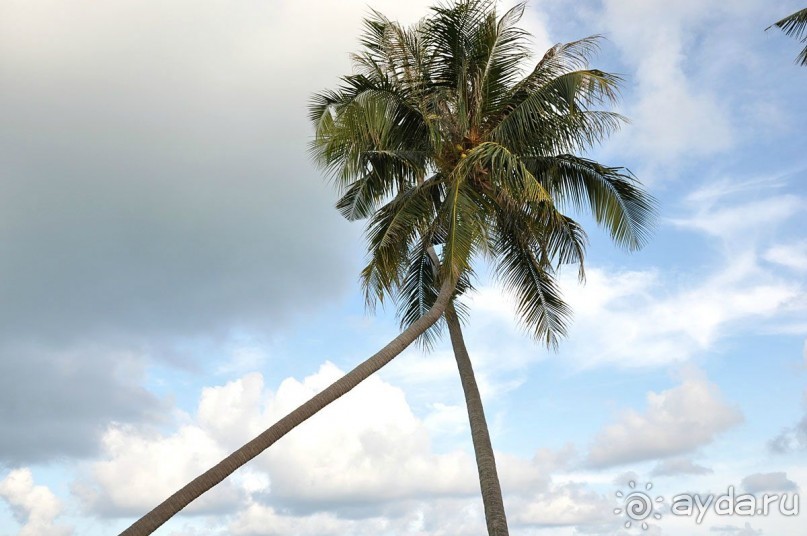 фото Princess Beach Hotel