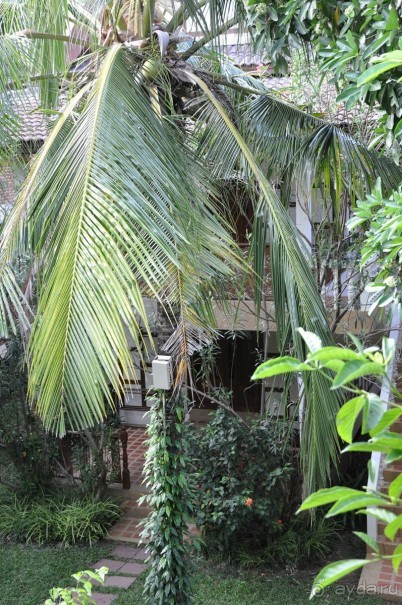 фото Princess Beach Hotel