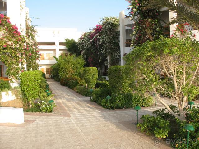 фото Кубаночка