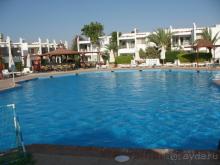 фото Кубаночка