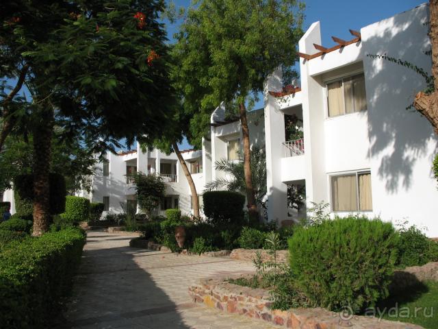 фото Кубаночка