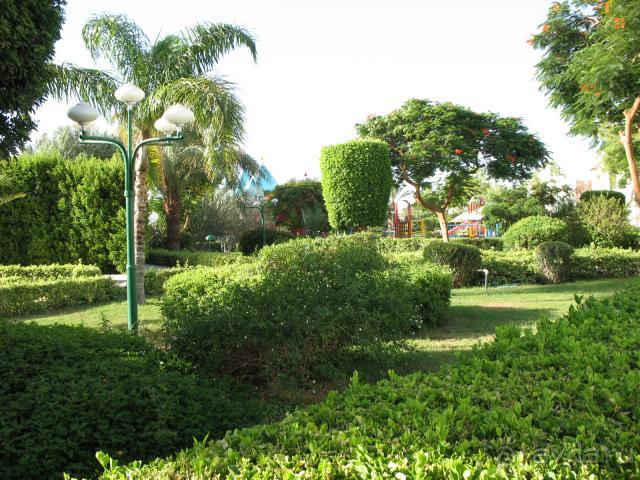 фото Кубаночка