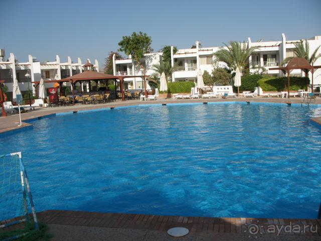 фото Кубаночка