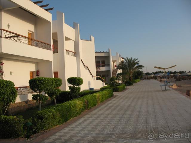 фото Кубаночка